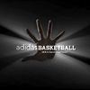 adidas-basketball