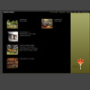 amanitadesign