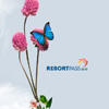 resortpass
