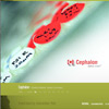 openfieldcreative