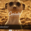curiosityamsterdam