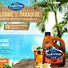 paradise